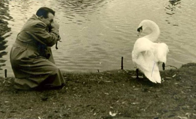 Дружба животных и людей на фотографиях 19 века