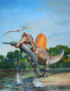 динозавр спинозавр ловит рыбу @biologicalsciences.uchicago.edu