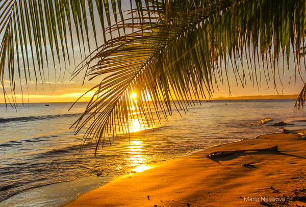 Что подарить мертвым детям