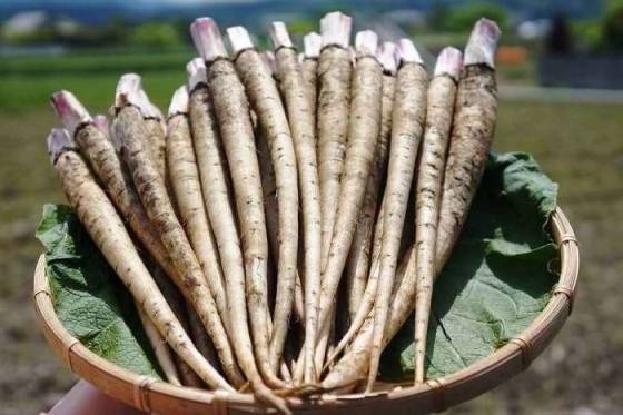 С дисбактериозом можно справиться, есть советы верные: 11 способов исцеления. Забудьте о дискомфорте навсегда