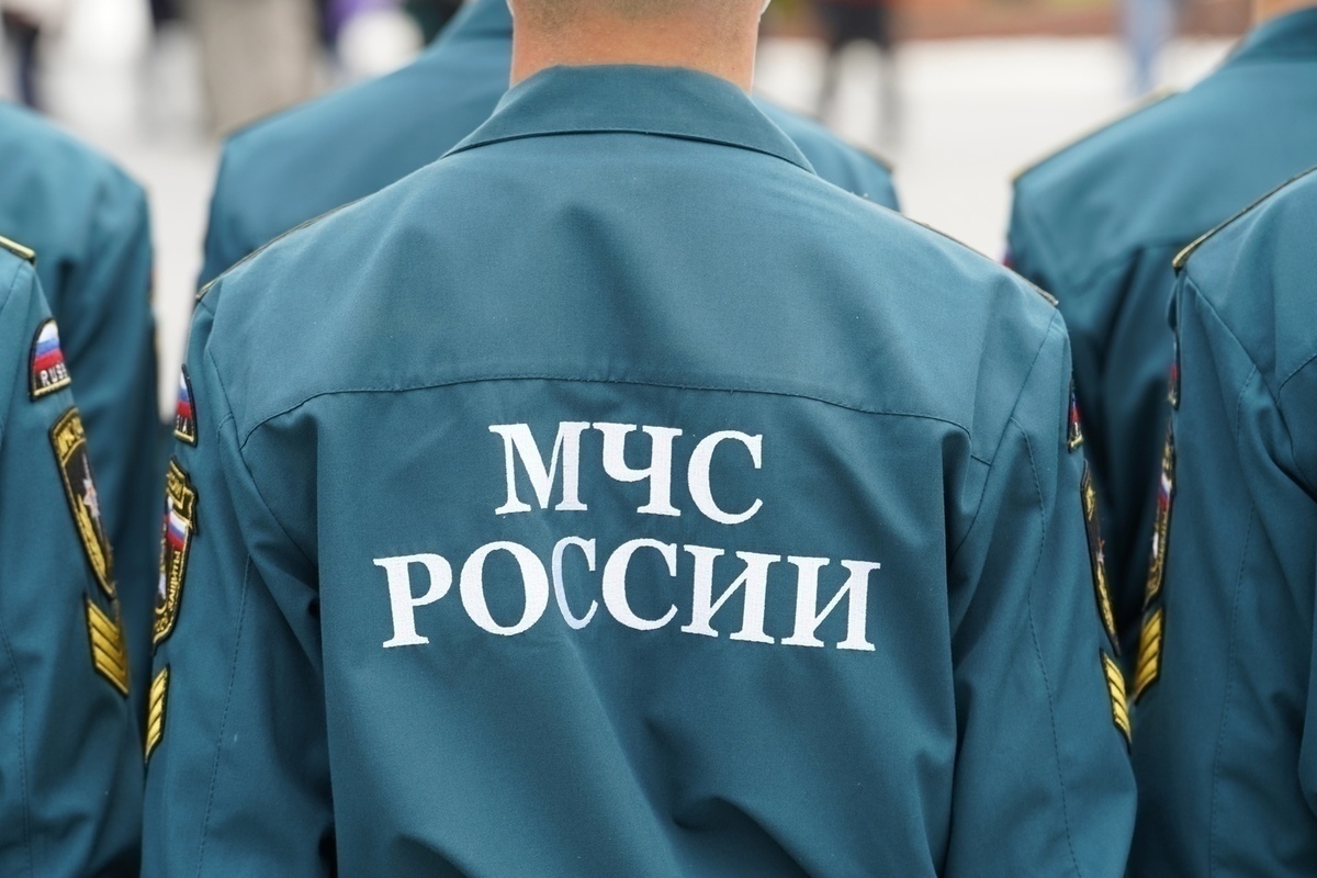 В российском городе сотрудники МЧС спасли беременную кошку