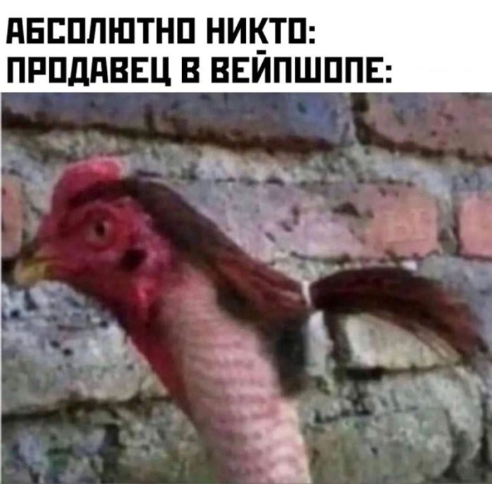 Интернет мемы в воскресение и фото кухни 