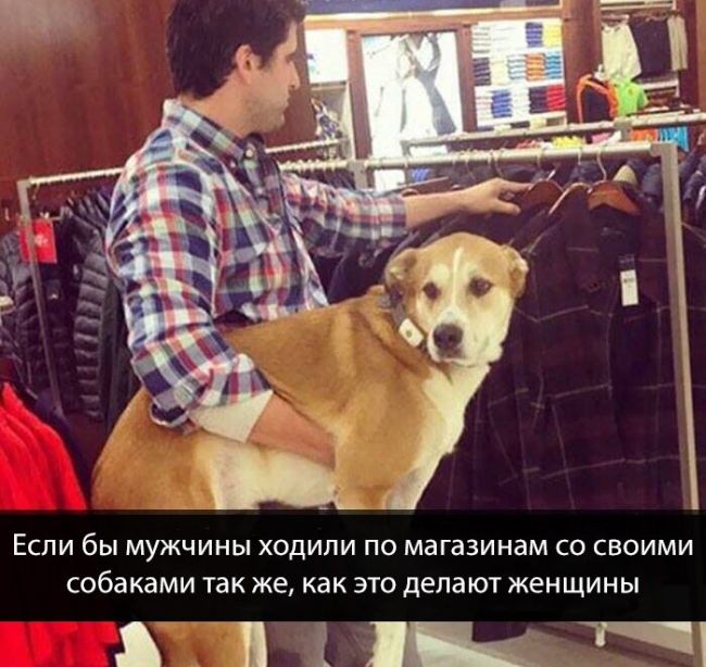 Подборка картинок. Дневной выпуск (73 фото)