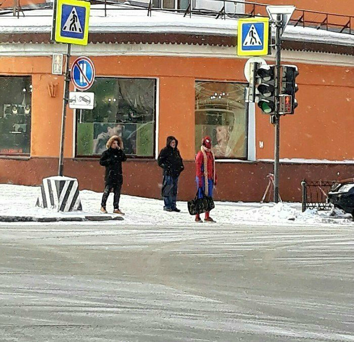 17 жизненных фотографий, демонстрирующих, как в реальности выглядит зимняя сказка 