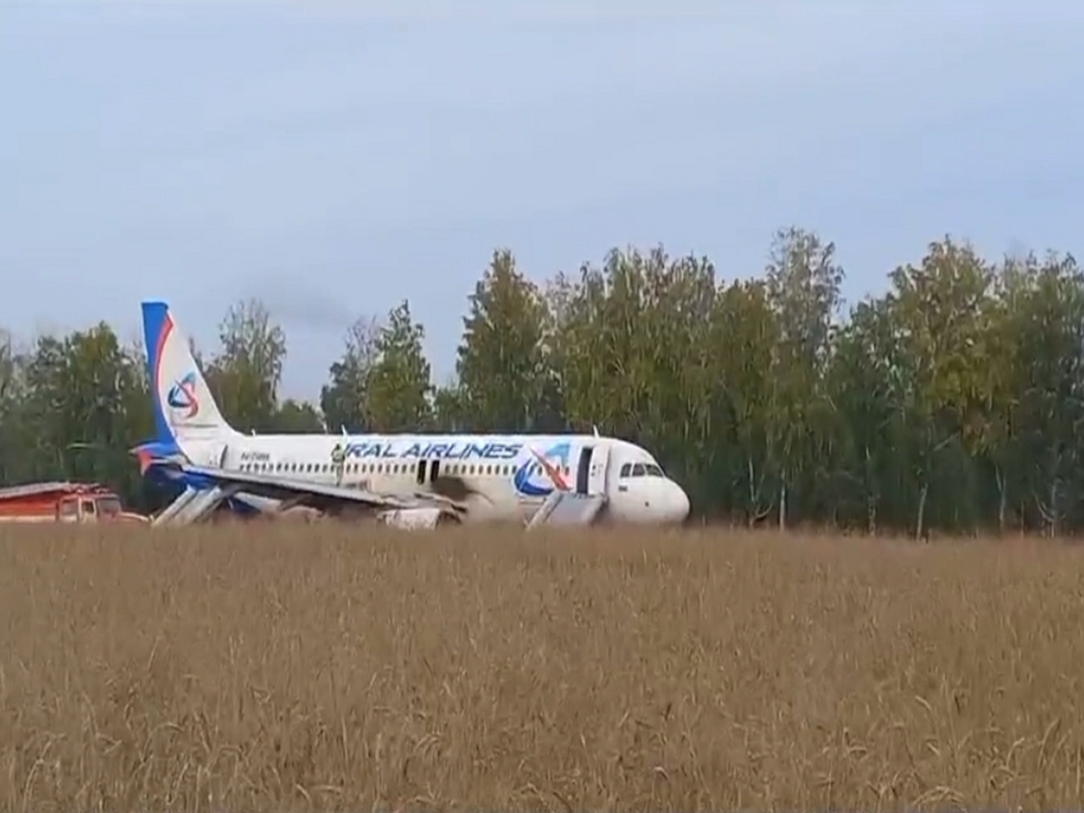 Пилот, посадивший самолет в пшеничное поле под Новосибирском, уволился