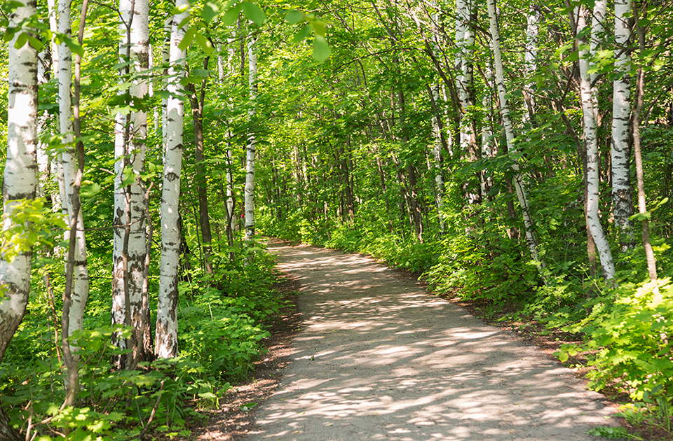 Жигули: Волжская Швейцария с разбойничьим прошлым Жигули: Волжская Швейцария с разбойничьим прошлым