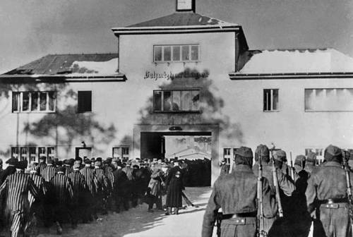 Фальшивые деньги – тайное оружие Третьего рейха Фальшивые деньги – тайное оружие Третьего рейха история