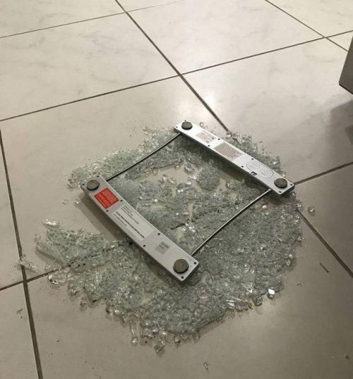 Фотоприколы и картинки дня Фотоприколы и картинки дня