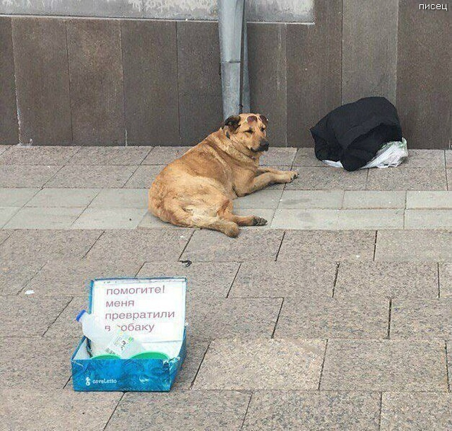 Что ни фото, то Хит! Отменный юмор! Что ни фото, то Хит! Отменный юмор! смешные картинки