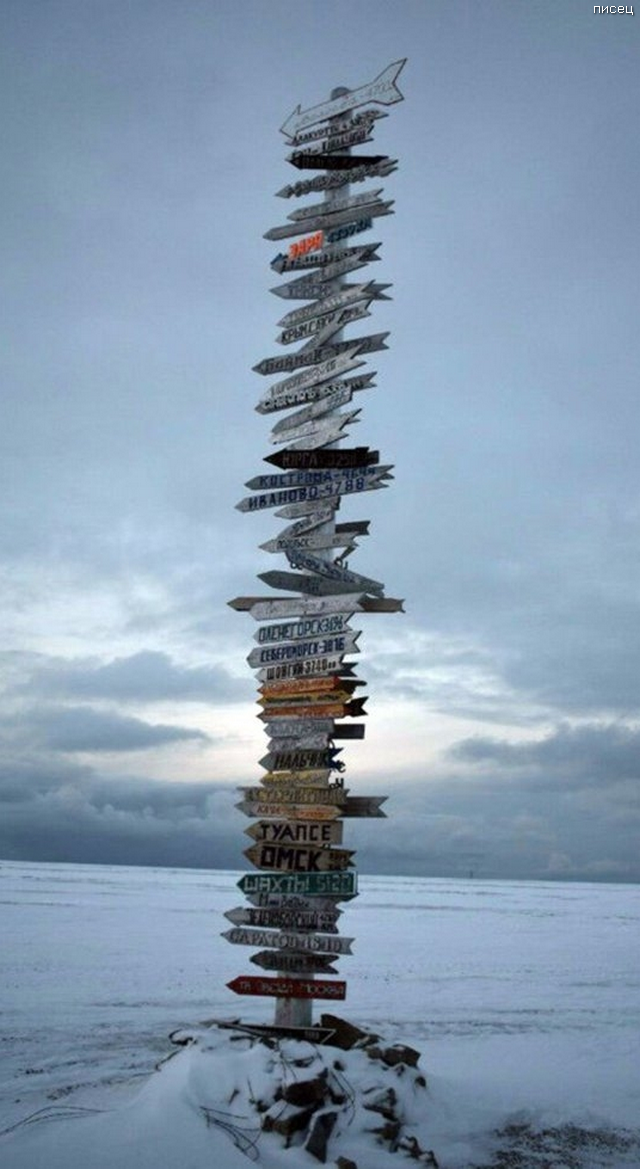 Что ни фото, то Хит! Отменный юмор! Что ни фото, то Хит! Отменный юмор! смешные картинки