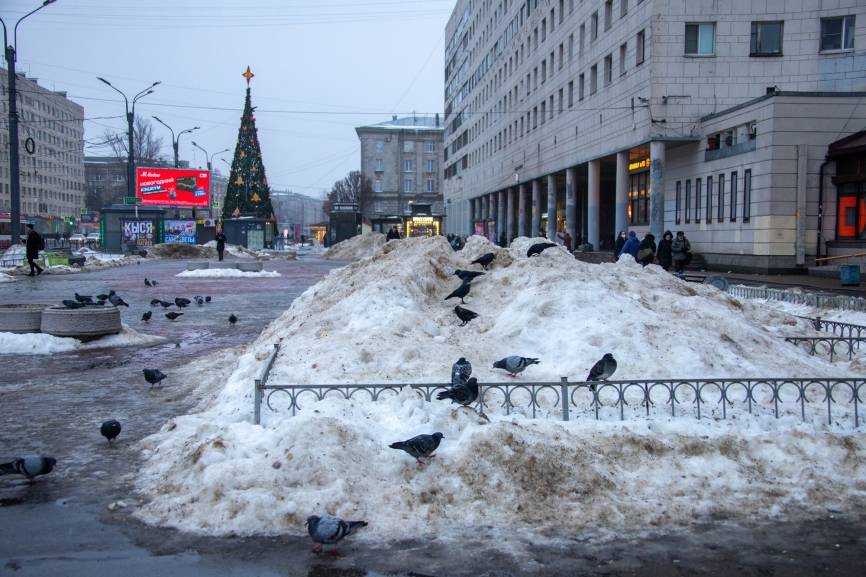 Нечищенные тротуары. Неубранный снег СПБ. Санкт-Петербург снег. Снегопад в Санкт-Петербурге. Сугробы в Питере.