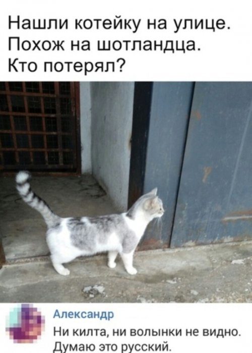 Фотоприколы и картинки дня Фотоприколы и картинки дня