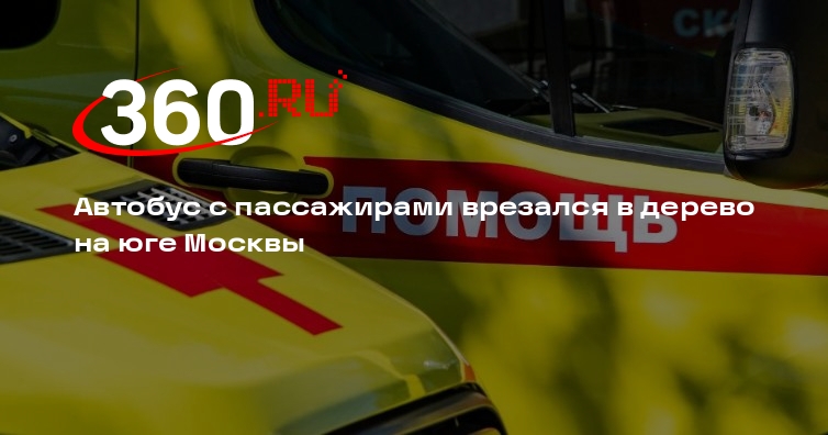 Источник 360.ru: автобус врезался в дерево в Москве, пострадал водитель