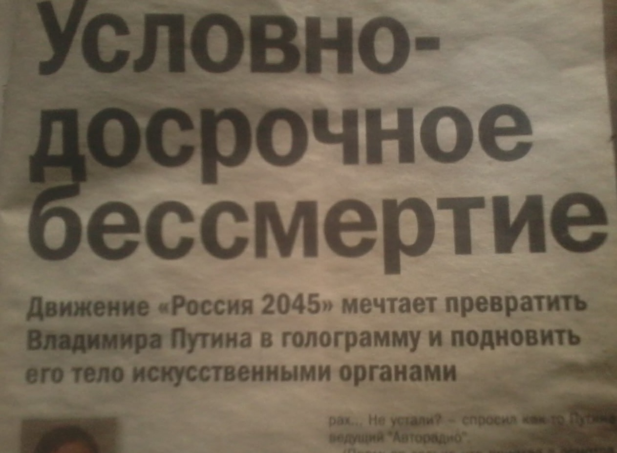 Вау газеты, смешное, фото