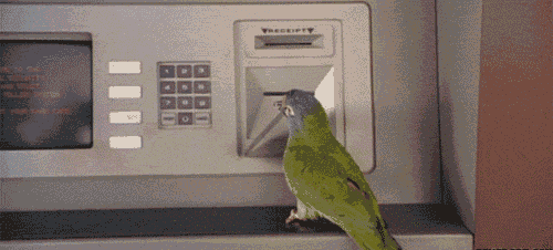 Подборка ржачных и забавных гифок со смыслом 