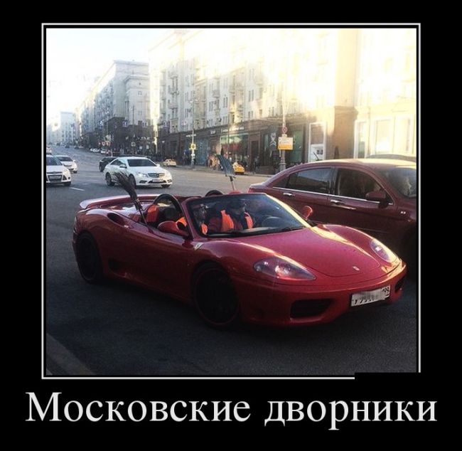 Свежие и позитивные демотиваторы для веселья (11 фото)