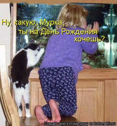 Лучшая котоматрица недели Лучшая котоматрица недели позитив,смешные картинки,юмор