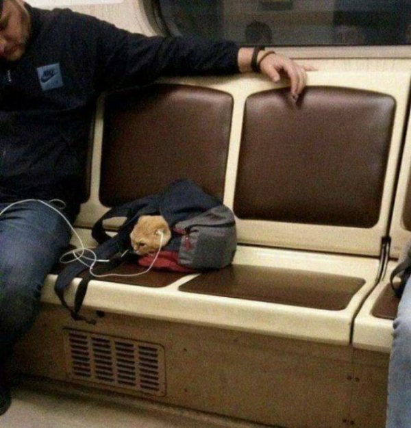 ÐšÐ¸Ñ-ÐºÐ¸Ñ- ÑŽÐ¼Ð¾Ñ€