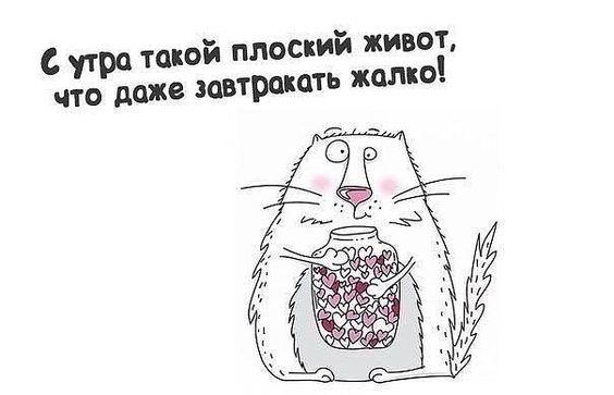 Подборка супер прикольных картинок Подборка супер прикольных картинок