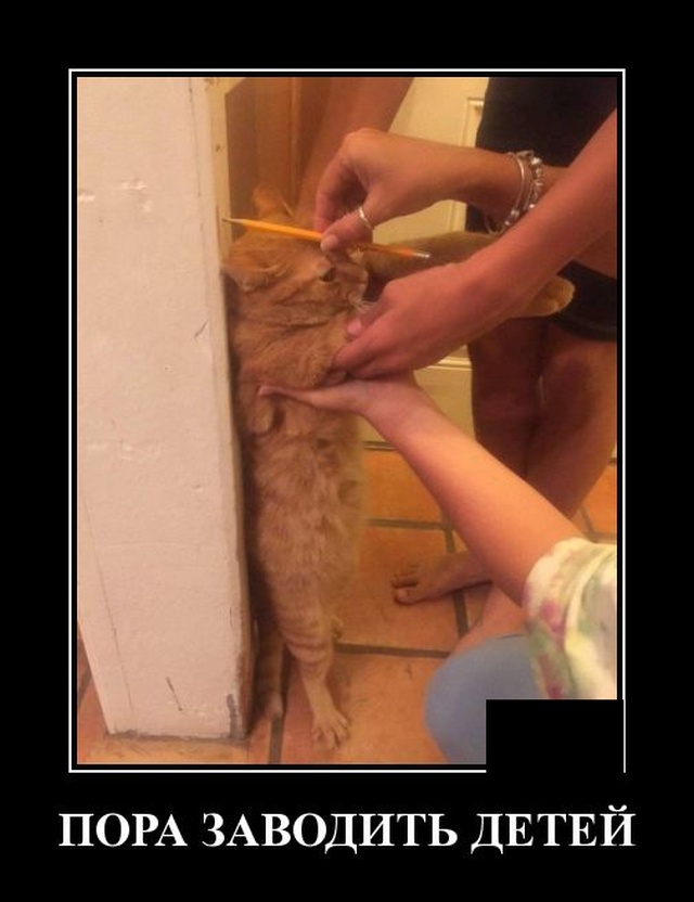 Решено: создам асоциальную сеть..