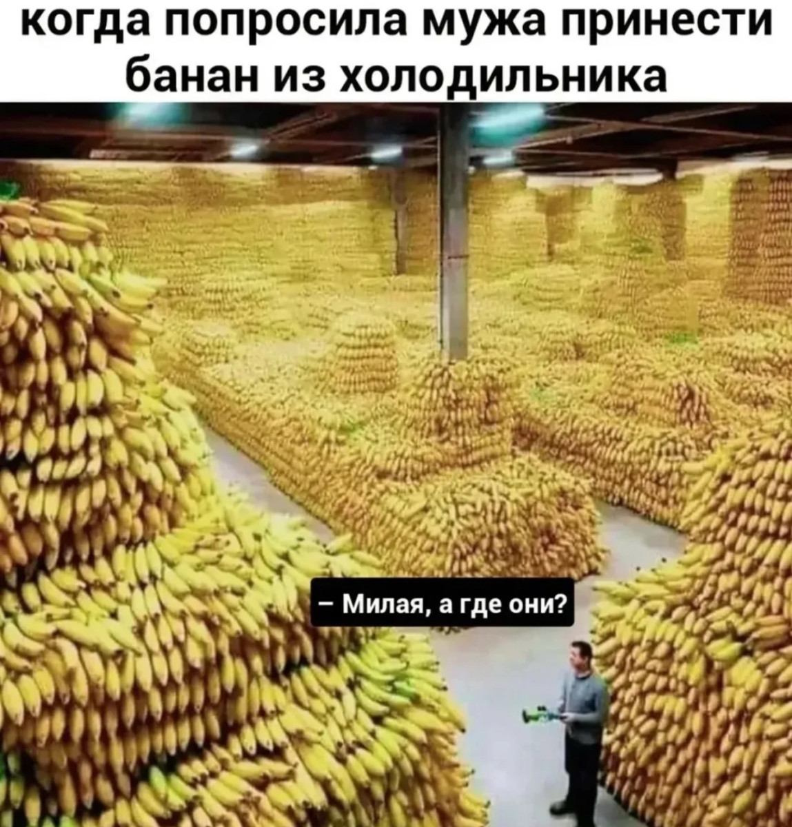 Уволился, потому что работа мешала моему лету Уволился, потому что работа мешала моему лету