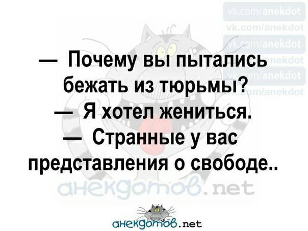 Маленький червячок спрашивает у мамы: — Мама, а мы можем жить в больших вкусных яблоках?... весёлые