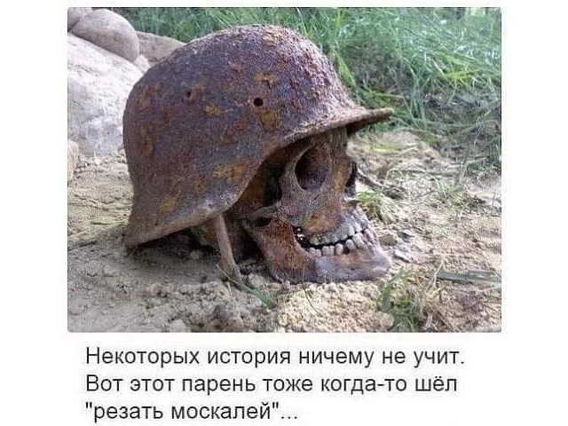 Зеленский официально возглавил неонацистов и борцов с «победобесием» Зеленский официально возглавил неонацистов и борцов с «победобесием» украина