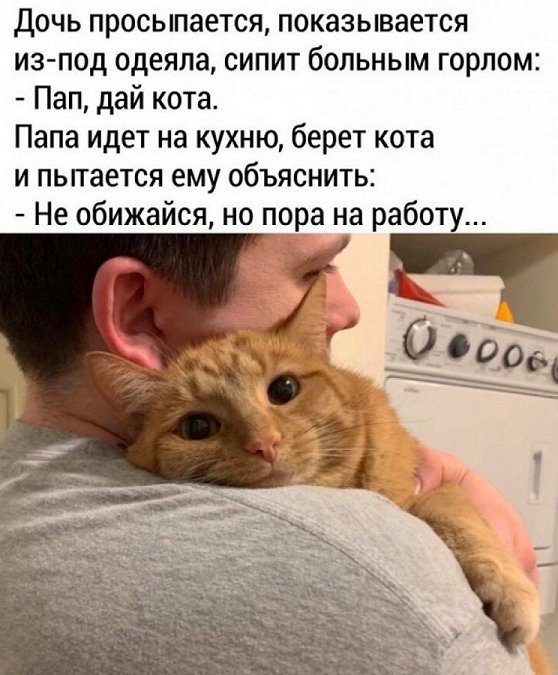 Шутки для настроения Шутки для настроения