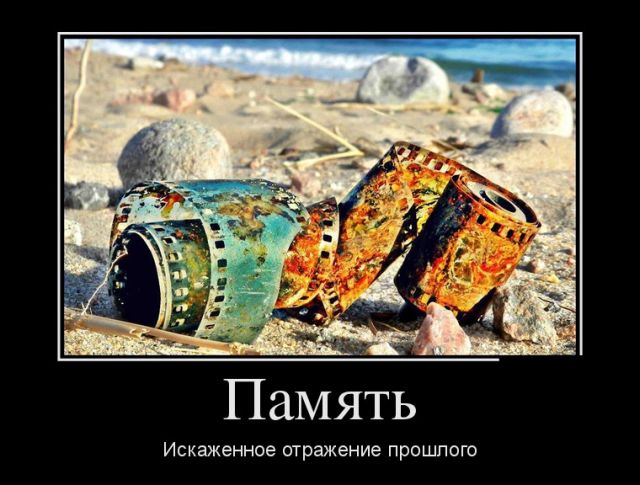 Свежие и позитивные демотиваторы для веселья (11 фото)