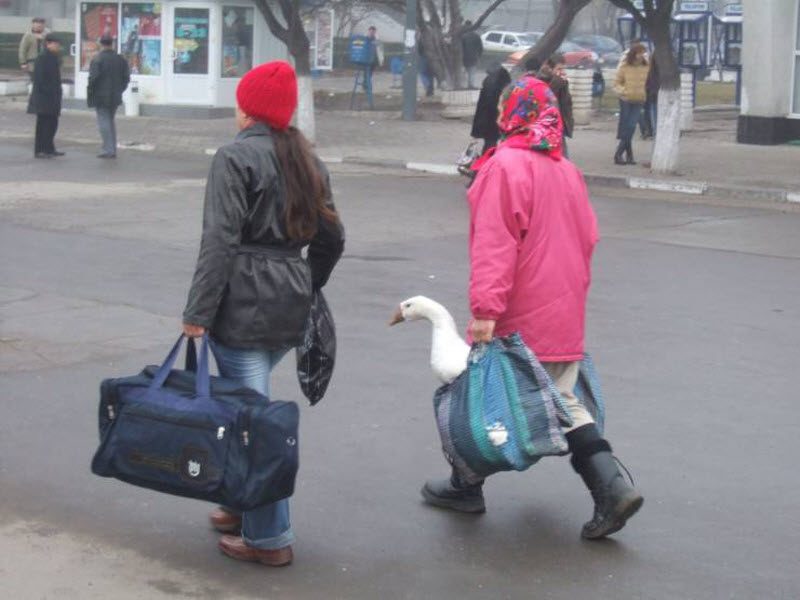 Надпись на табличке в магазине стройматериалов.. анекдоты,веселье,демотиваторы,приколы,смех,юмор