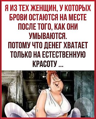 Смешные и интересные шутки, цитаты и фразы Смешные и интересные шутки, цитаты и фразы