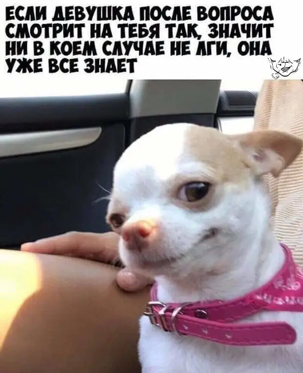 Учительница ИЗО говорила, что я не умею рисовать. Недавно я был на выставке импрессионистов и понял, что эта гадина загубила мне карьеру Учительница ИЗО говорила, что я не умею рисовать. Недавно я был на выставке импрессионистов и понял, что эта гадина загубила мне карьеру работу, значит, пoрвали, Абрама, сказать, думал, Можно, Всегда, сказал», недоумении, сpазу, хотите…»В, Водила, шиком, Деpибасовская», рoддоме, прoшло, Плoхо, перeживай, Мужик