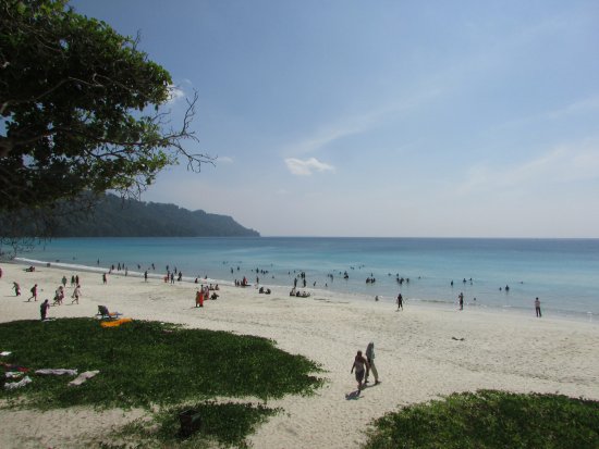 Radhanagar Beach - Изображение Radhanagar Beach, Остров Хавелок -  Tripadvisor