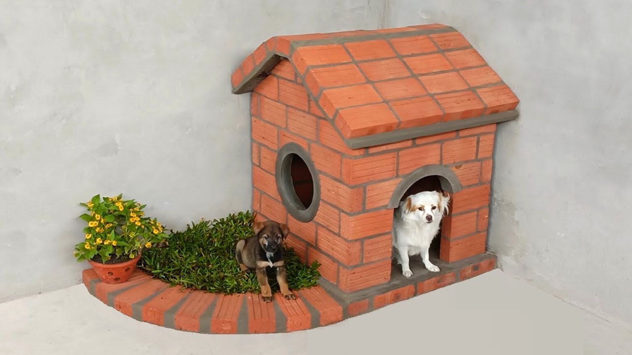 How to build a beautiful house for your dog