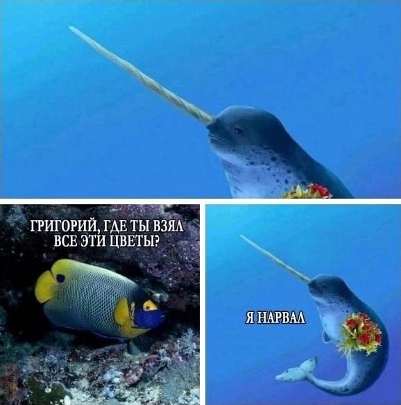 Пост приколов выходного дня. Немного позитива в каждый дом!