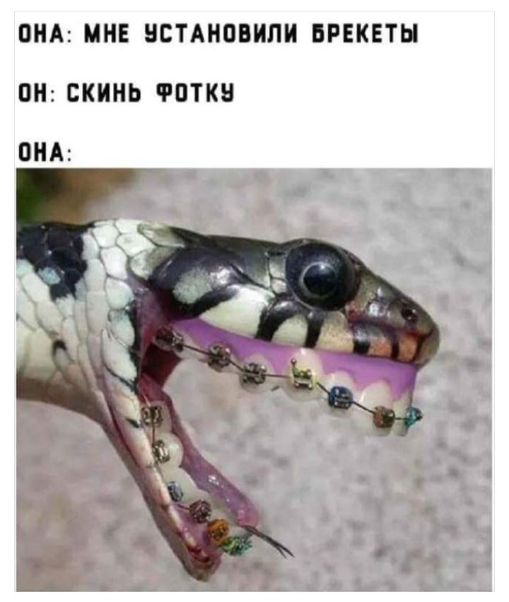 Решено: создам асоциальную сеть.. Решено: создам асоциальную сеть.. анекдоты,веселье,демотиваторы,приколы,смех,юмор