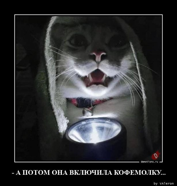 Демотиваторов пост: «Виды противоугонных систем…» 