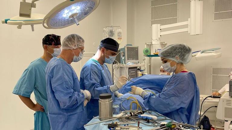 В Крыму — в РКБ им. Н. А. Семашко — провели мастер-класс по хирургии для районных врачей-урологов