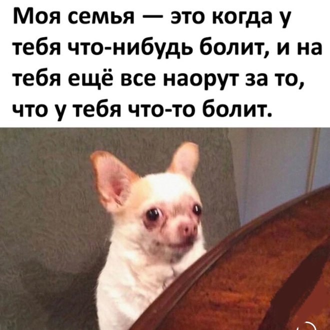 Смешные картинки с надписями и петрушка с кинзой Смешные картинки с надписями и петрушка с кинзой