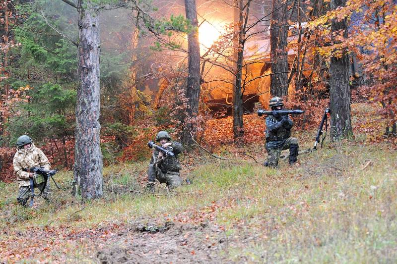 Румыния в НАТО: иностранные войска и объекты армия