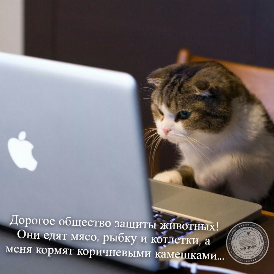 Письмо