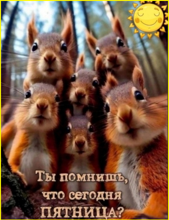 Пятницкий юмор на сон грядущий Пятницкий юмор на сон грядущий