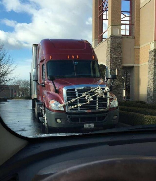 Фотографии, которые заставят задаться вопросом "Что здесь происходит?" Фотографии, которые заставят задаться вопросом "Что здесь происходит?" позитив,смешные картинки,юмор