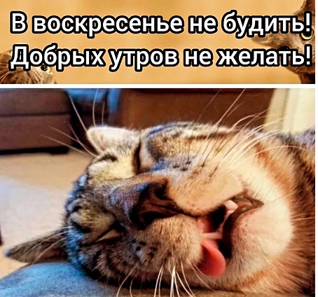 Ты меня не поправляй! Я не трусы....