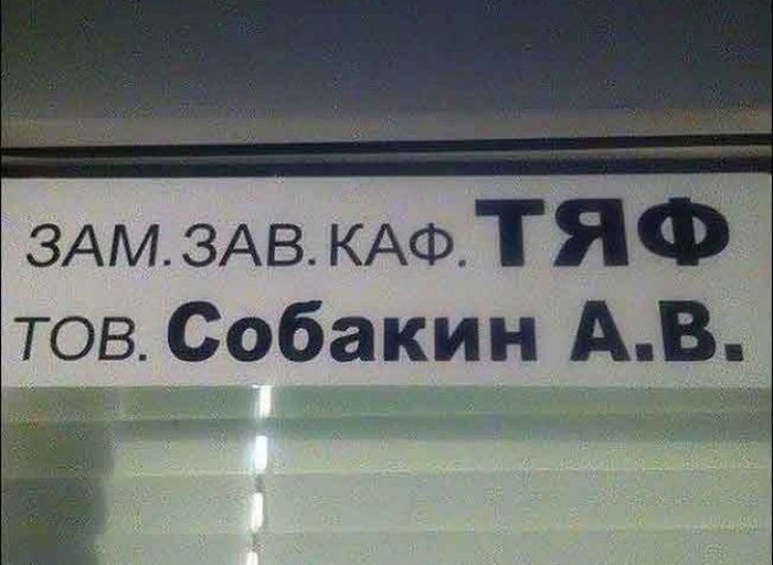 Говорящие фамилии, ч.2 Фамилия, Говорящие фамилии, Коллекция, Длиннопост