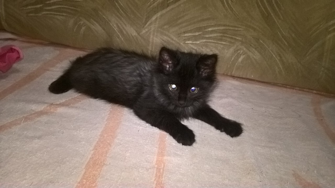 QGCXZYTKh7w