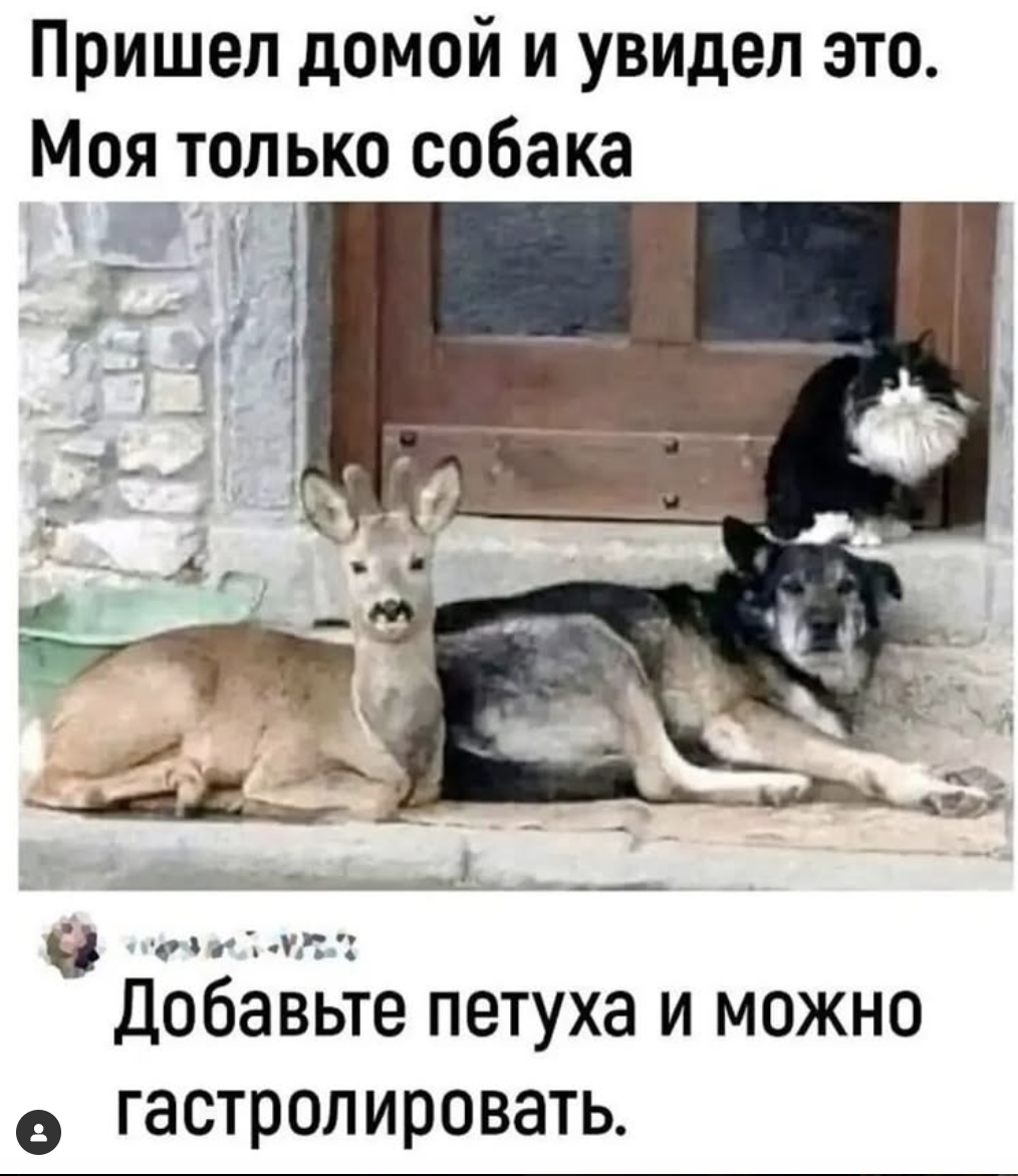 Острые, как соус: забавные комментарии, делающие пост ещё пикантнее Острые, как соус: забавные комментарии, делающие пост ещё пикантнее
