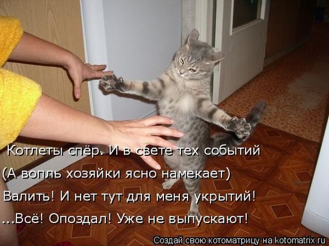 Самые смешные котоматрицы за прошедшую неделю