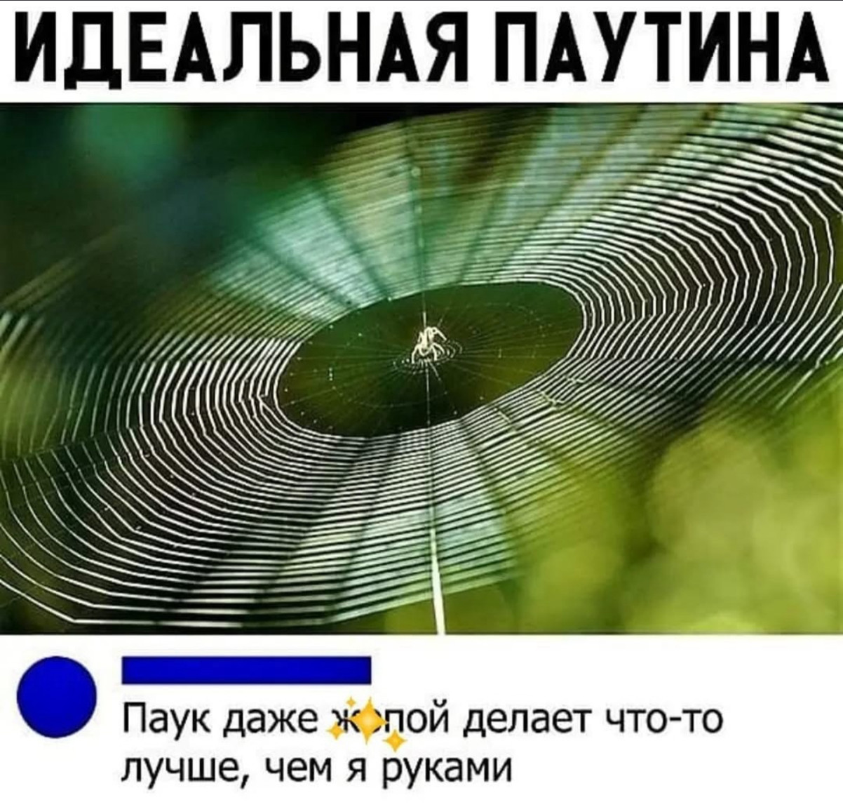 Уволился, потому что работа мешала моему лету Уволился, потому что работа мешала моему лету