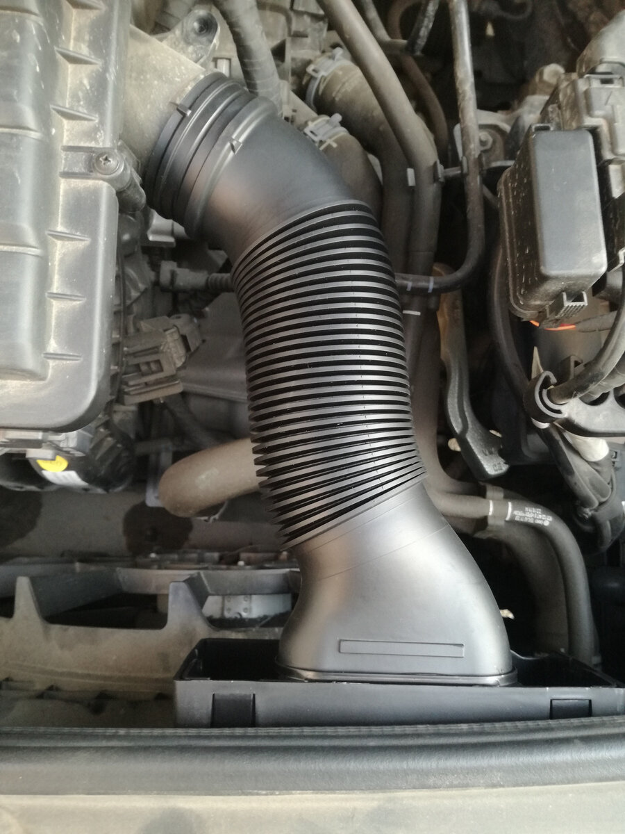 Фото для примера, личные фотографии опубликую позже